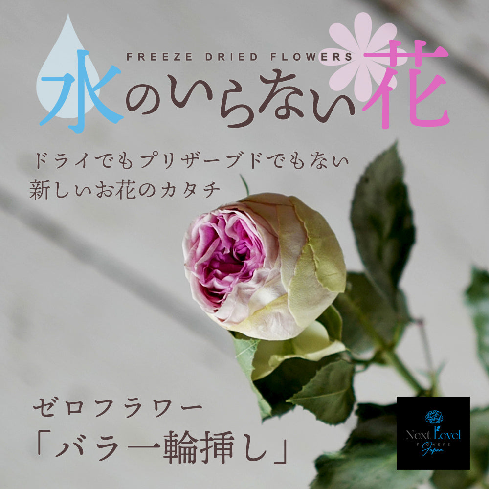 ameri.様専用＊プリザーブドフラワー 危なかっ 