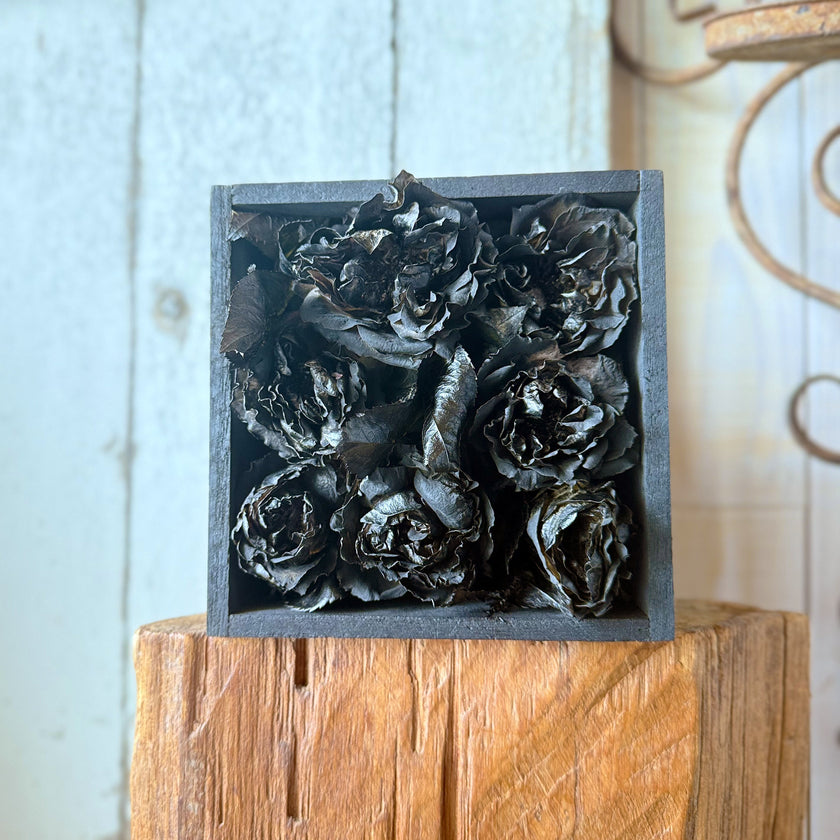 ブラックフラワースクエアアレンジ　「BLACK FLOWER SQUARE ARRENGEMENT」ゼロフラワー・インテリアシリーズ