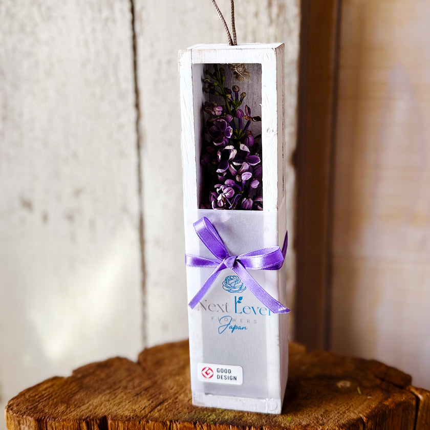 ゼロフラワー「花いちりん」S　フリーズドライフラワーインテリアシリーズ