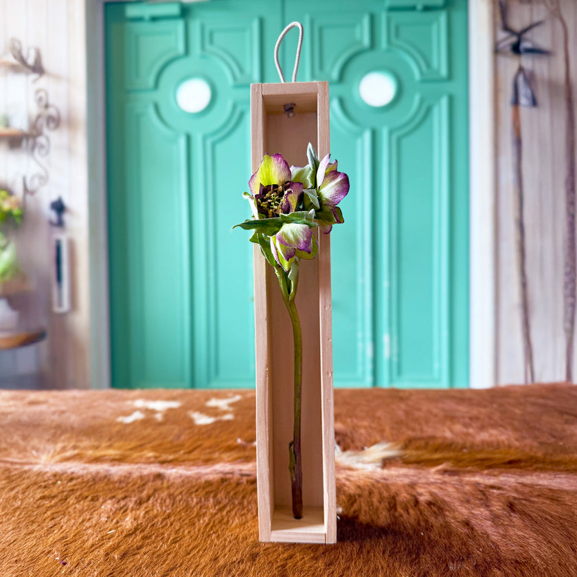 ゼロフラワー「花いちりん」L　フリーズドライフラワーインテリアシリーズ