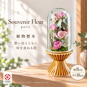 植物標本 Souvenir Fleur petit — 想い出を閉じ込めた、小さな標本 — フリーズドライフラワー（ゼロフラワー）