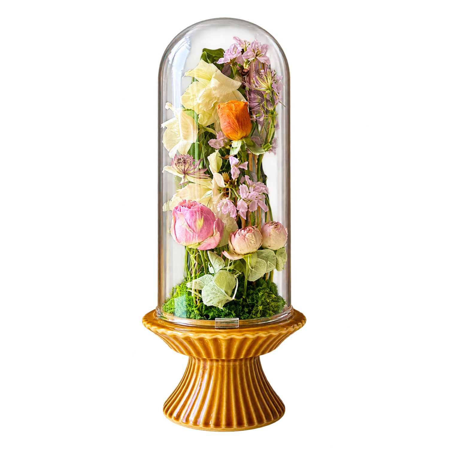 植物標本 Souvenir Fleur grand — 想い出を閉じ込めた、小さな標本 — フリーズドライフラワー（ゼロフラワー）
