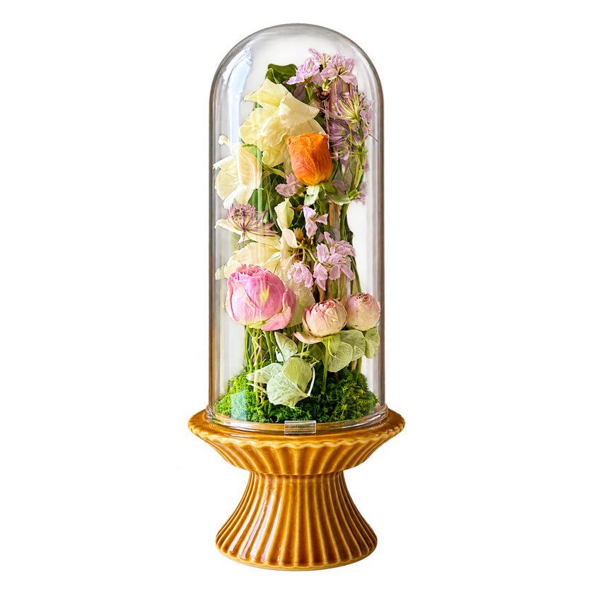 植物標本 Souvenir Fleur grand — 想い出を閉じ込めた、小さな標本 — フリーズドライフラワー（ゼロフラワー）