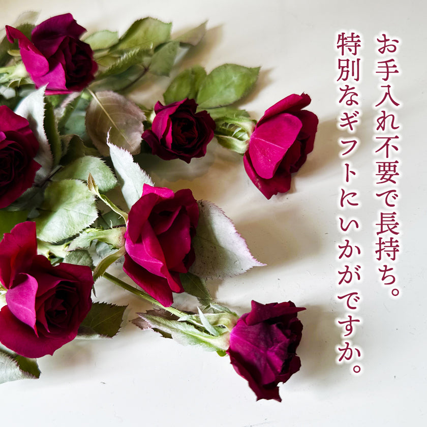 ゼロフラワーアレンジ 12本の赤バラ「ラヴィアン・ローズ」