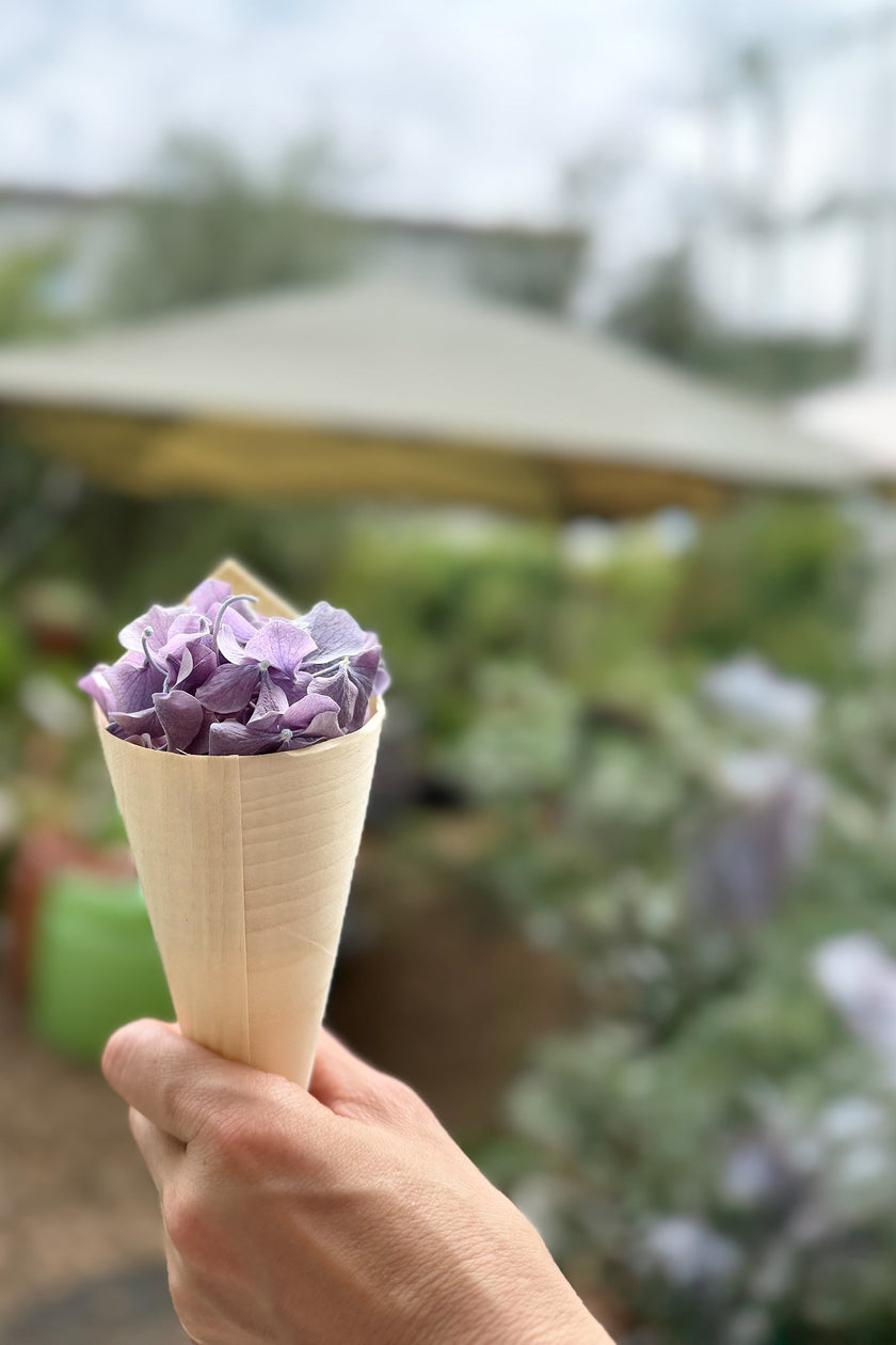 Zero Flower Bloom‑Cone（ゼロフラワー・ブルームコーン）