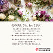 植物標本 Souvenir Fleur grand — 想い出を閉じ込めた、小さな標本 — フリーズドライフラワー（ゼロフラワー）