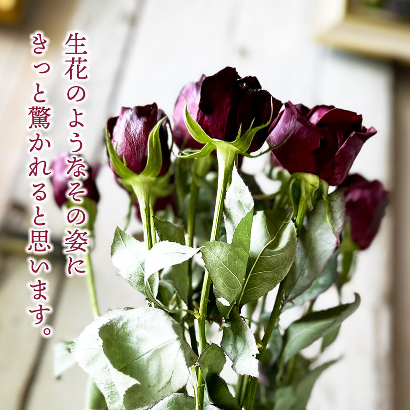 ゼロフラワーアレンジ 12本の赤バラ「ラヴィアン・ローズ」