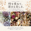 植物標本 Souvenir Fleur grand — 想い出を閉じ込めた、小さな標本 — フリーズドライフラワー（ゼロフラワー）
