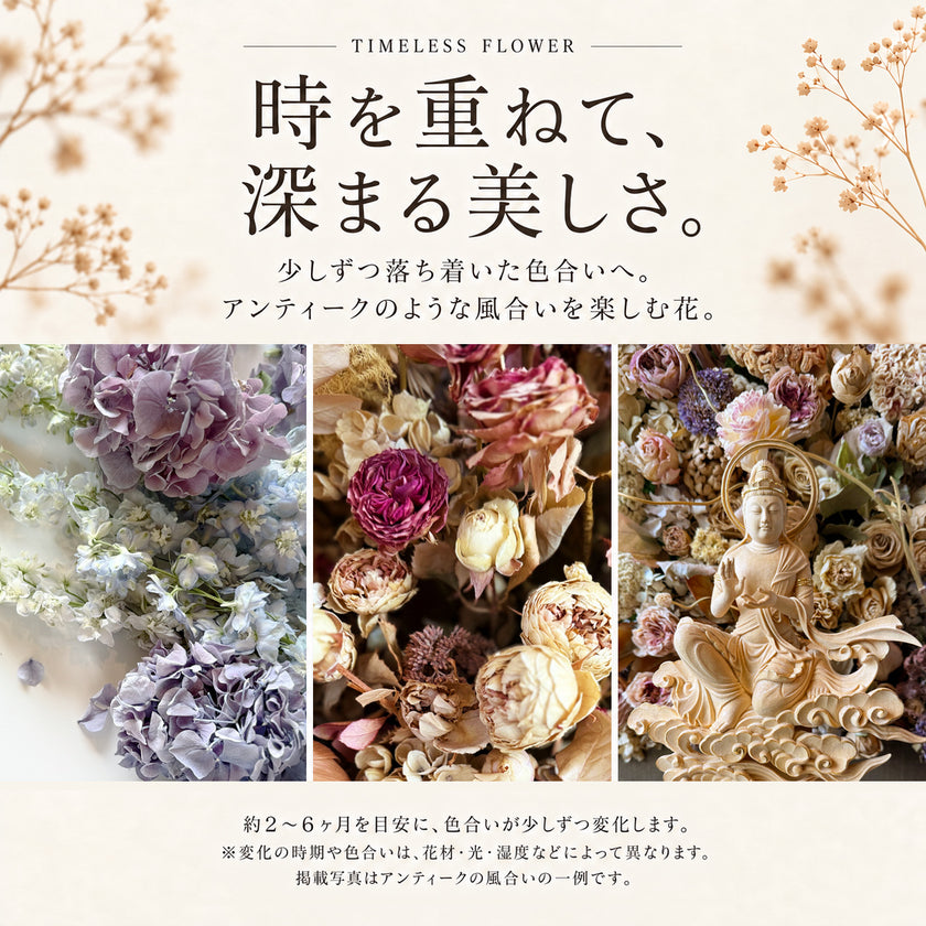 植物標本 Souvenir Fleur grand — 想い出を閉じ込めた、小さな標本 — フリーズドライフラワー（ゼロフラワー）