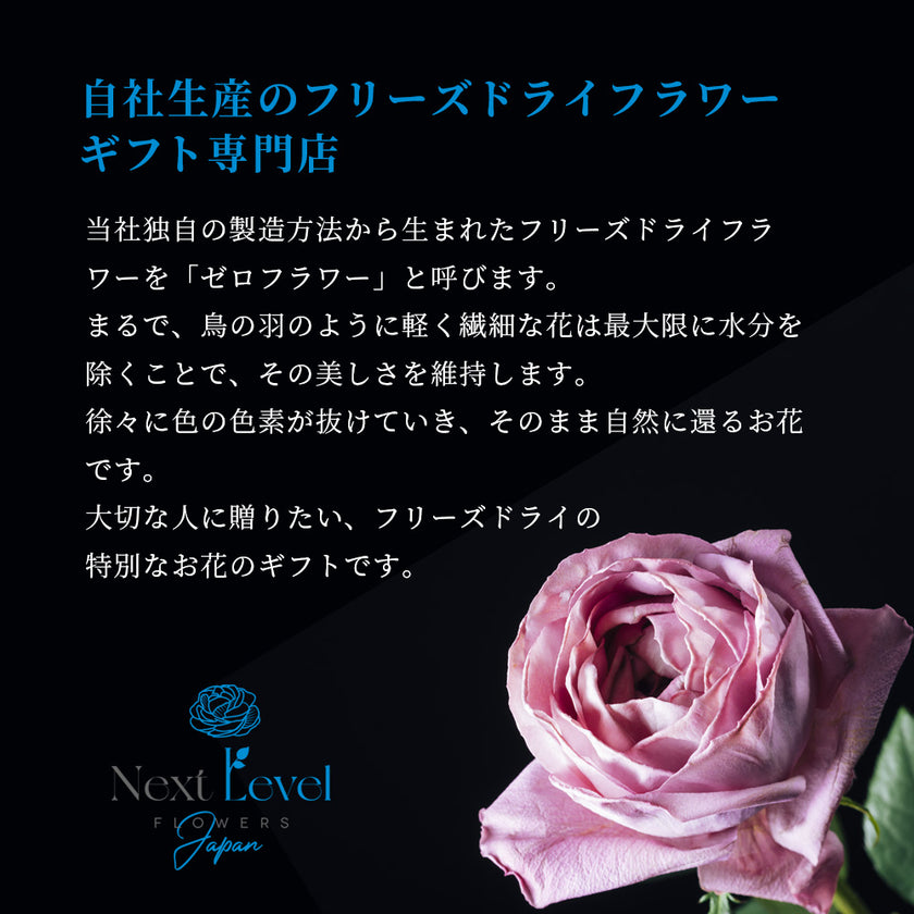 水のいらない花　ゼロフラワー「薔薇1輪挿し&花びらセット」