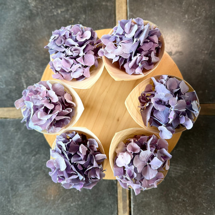 Zero Flower Bloom‑Cone（ゼロフラワー・ブルームコーン）