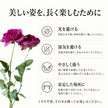 植物標本 Souvenir Fleur grand — 想い出を閉じ込めた、小さな標本 — フリーズドライフラワー（ゼロフラワー）