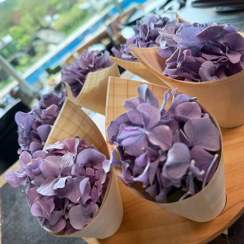 Zero Flower Bloom‑Cone（ゼロフラワー・ブルームコーン）