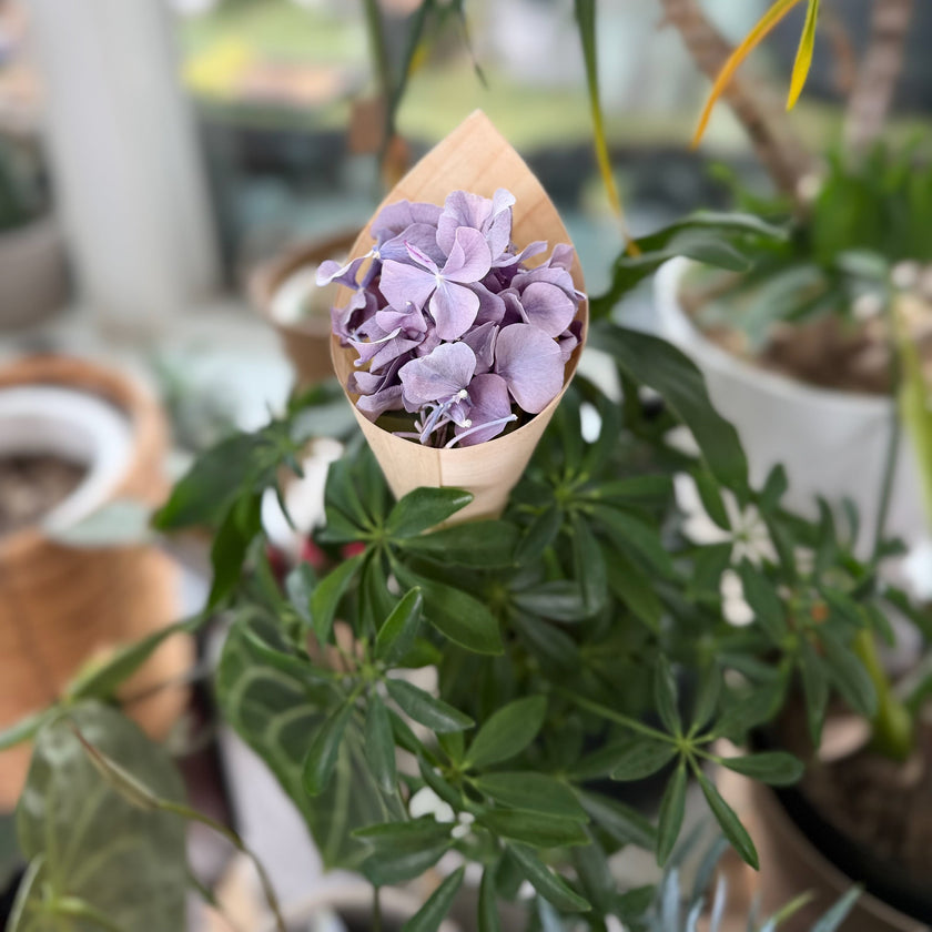 Zero Flower Bloom‑Cone（ゼロフラワー・ブルームコーン）