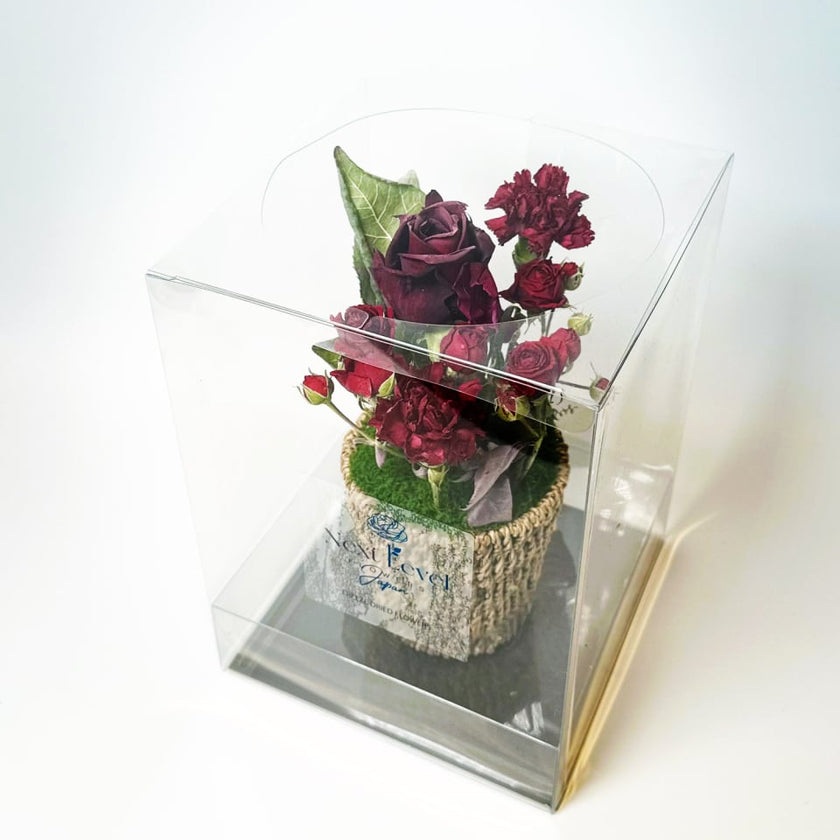 フリーズドライフラワーアレンジメント 「ゼロフラワー・モダンレッド」