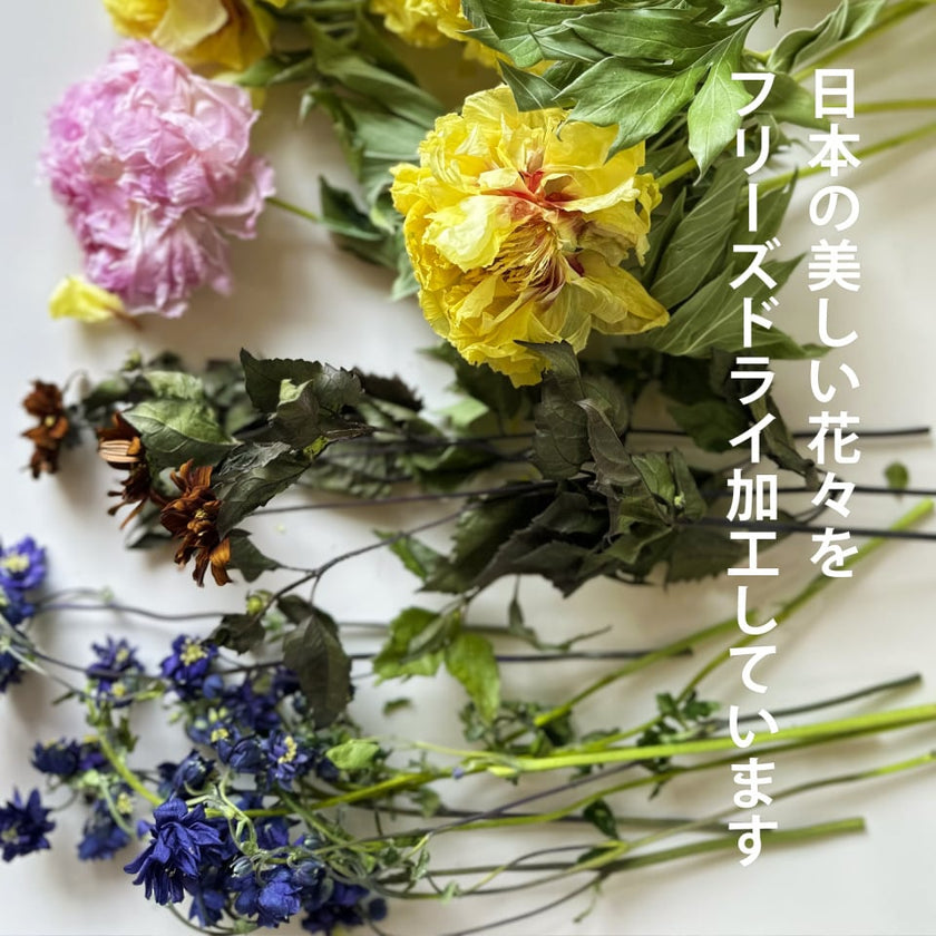 フリーズドライフラワーアレンジメント 「ゼロフラワー・モダンレッド」