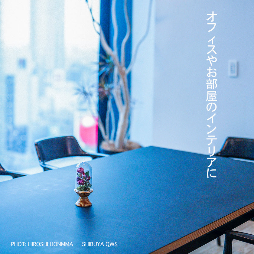 Souvenir Fleur petit - 想い出を閉じ込めた、小さな標本 -