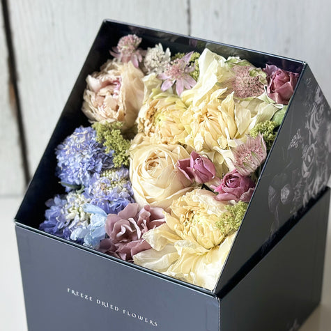 BOX FLOWER ＜SCENE＞