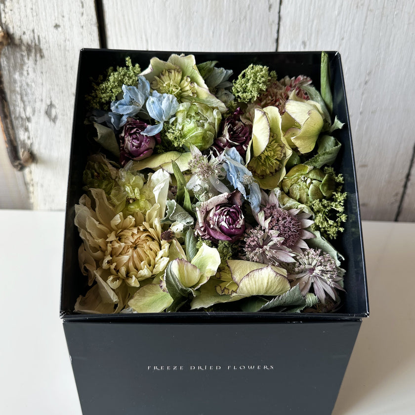 BOX FLOWER ＜IRO＞