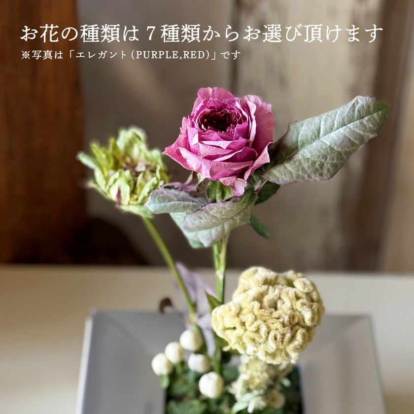 TIMELESS BLOOM BOX（タイムレスブルームボックス）