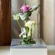 TIMELESS BLOOM BOX（タイムレスブルームボックス）