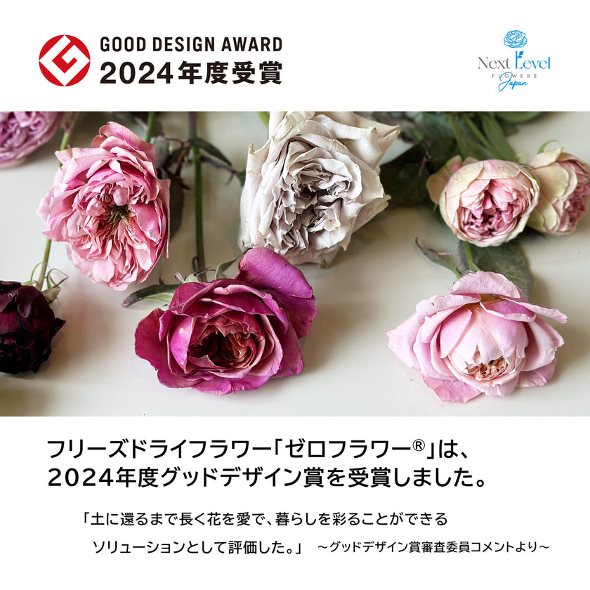 ゼロフラワー「花いちりん」L　フリーズドライフラワーインテリアシリーズ