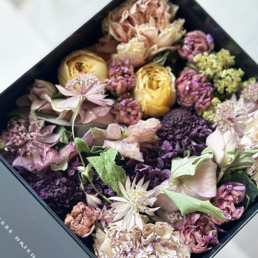 BOX FLOWER ＜HANA＞草花