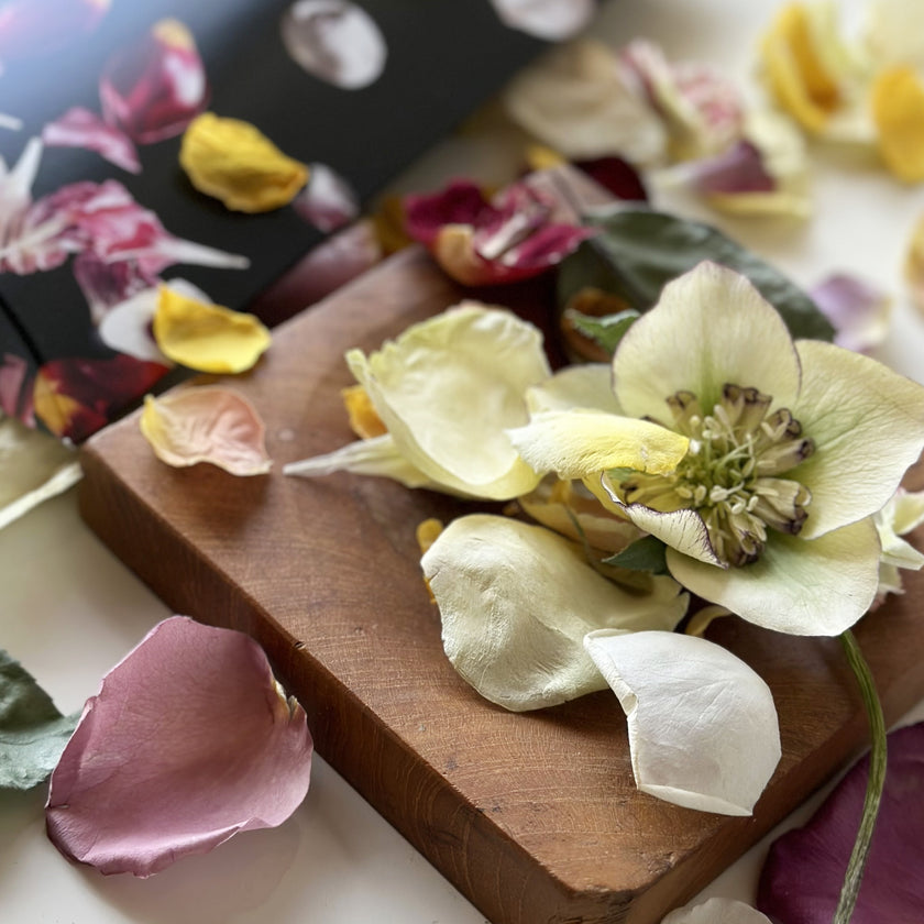 ZERO FLOWER PETAL ＜MIX＞