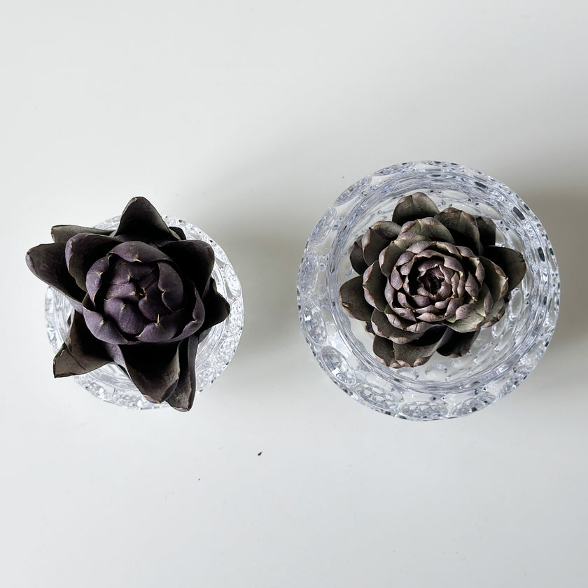 一輪の花と器　煌めき