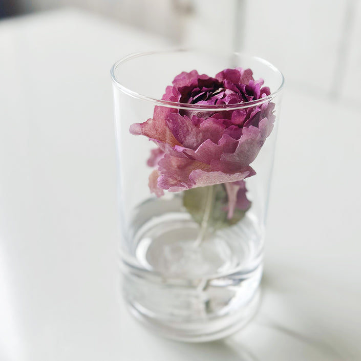 GLASSと薔薇と